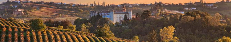 GLI SPUMANTI E I ROSÉ DEL PIEMONTE